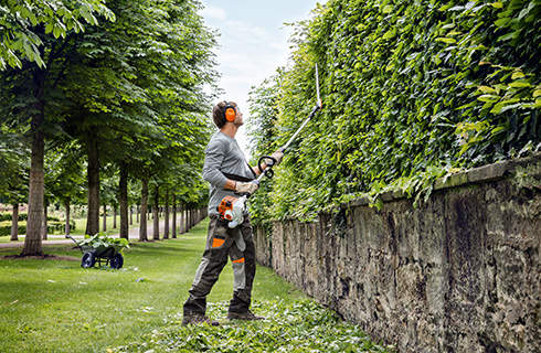 A man wearing protective clothing trims the vertical face of a tall hedge, using a STIHL HL 94 long-reach hedge trimmer.