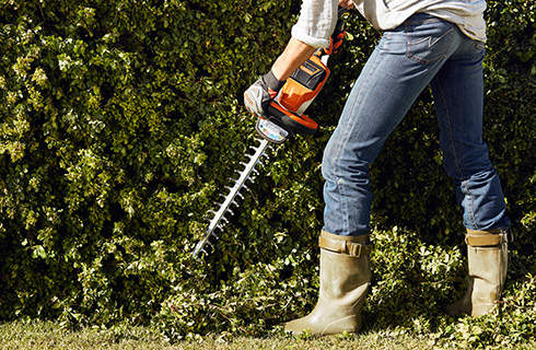 A dark green hedge is trimmed using a STIHL HSA 56 cordless hedge trimmer