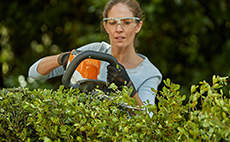 How to trim hedges